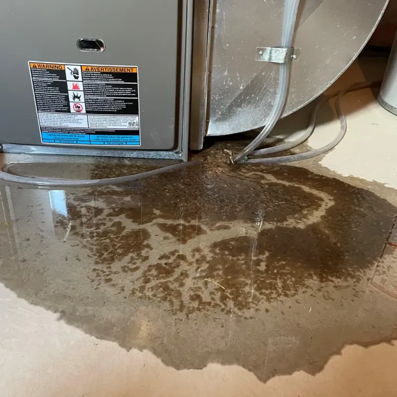 Appliance Leak Cleanup in Gordon Heights, NY